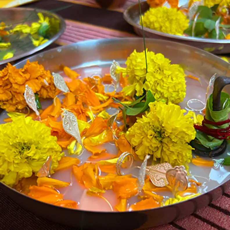 कालसर्प दोष निवारण पूजा त्र्यंबकेश्वर