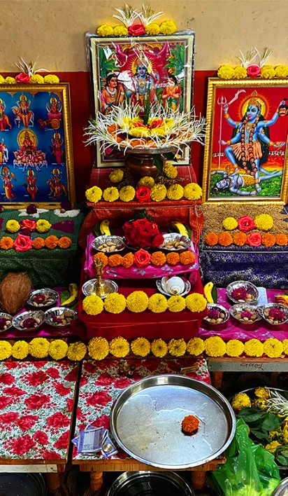 पंडित अनुज गुरुजी 